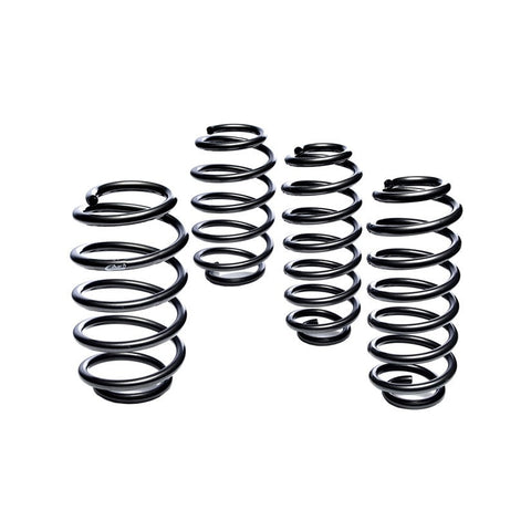 Lowering Springs