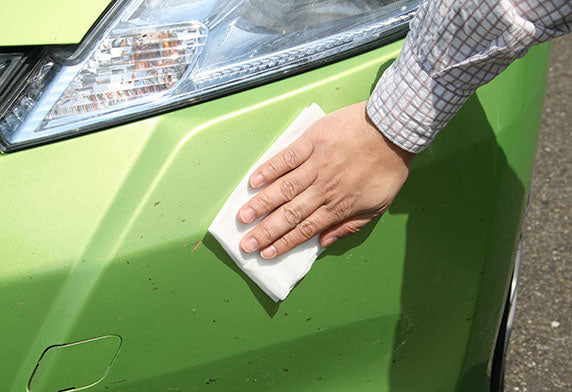 SOFT99 Fukupika Bug & Dropping Removal Wipes