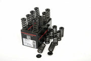 Piper Cams Inlet/Exhaust Cam Spring & Spring Cap Set - Ford Fiesta ST 180/200 MK7