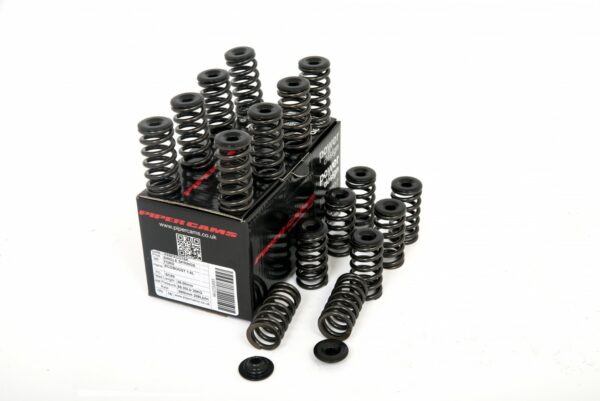 Piper Cams Inlet/Exhaust Cam Spring & Spring Cap Set - Ford Fiesta ST 180/200 MK7