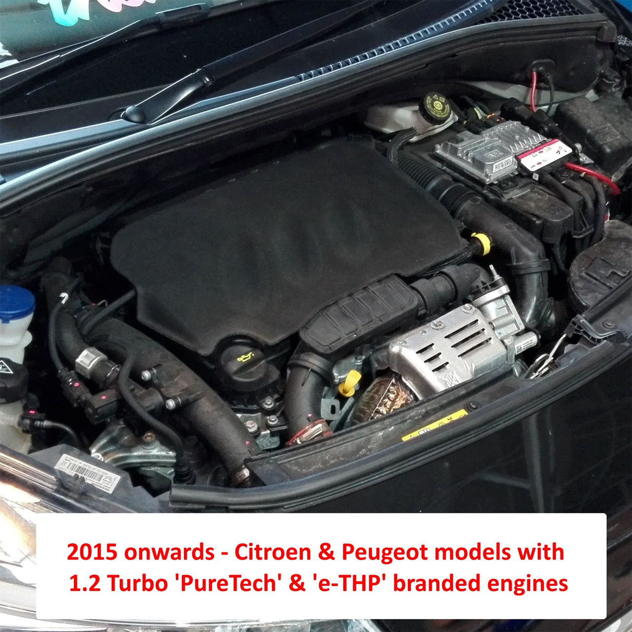 RamAir Performance Intake Kit (Black) - Citroen DS3-DS4 & Peugeot 208-308