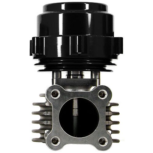 TiAL Sport F46 External Wastegate - 46mm
